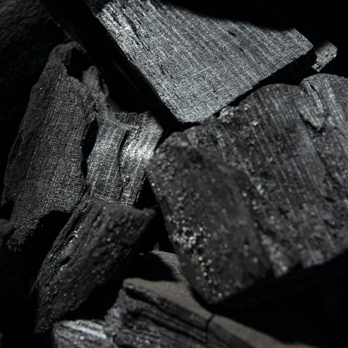 Charcoal & Peppermint Starter Pack